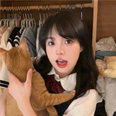 灰姑娘的全新冒险